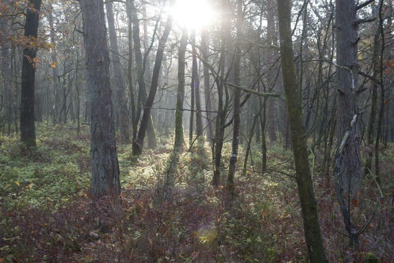 Boshuis Turquoise / Smaakvol Genieten Op De Veluwe Hoenderloo Exteriér fotografie