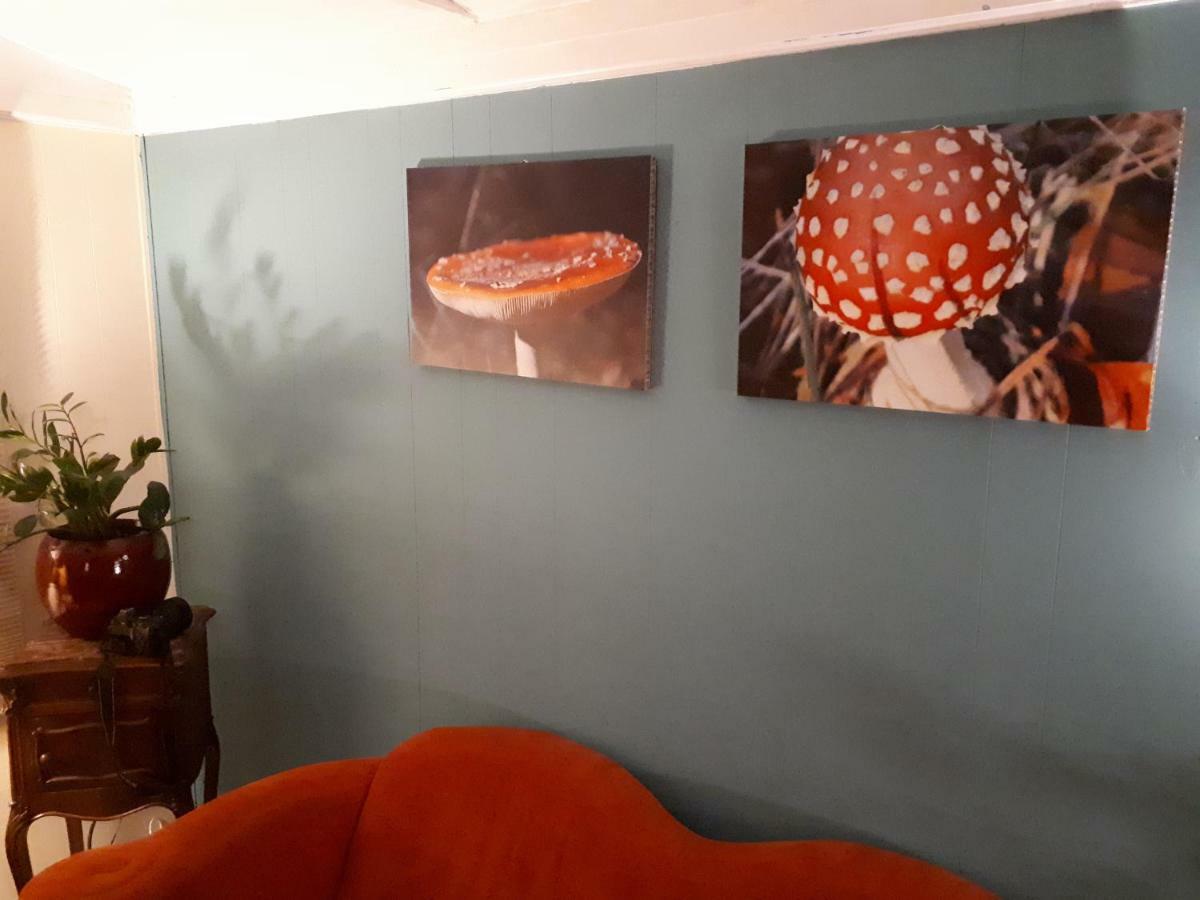 Boshuis Turquoise / Smaakvol Genieten Op De Veluwe Hoenderloo Exteriér fotografie